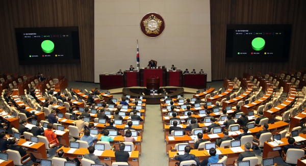 지난 9일 국회에서 열린 본회의에서 데이터 3법을 포함한 198개 민생법안이 처리되고 있다./사진=연합뉴스
